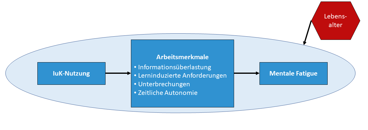 Modell der Untersuchung